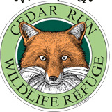 World Wildlife Day Lunch & Learn - logo